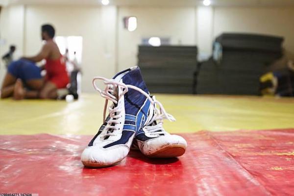学校体育课程中必修与选修项目介绍 学校体育课程中必修与选修项目介绍(图1)